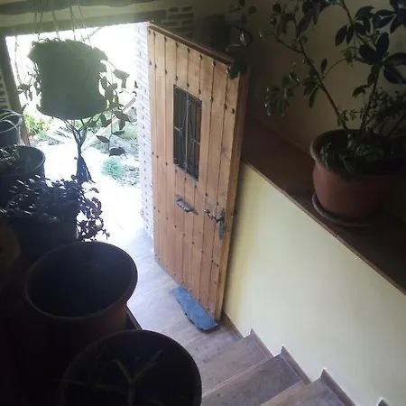 La Manduca