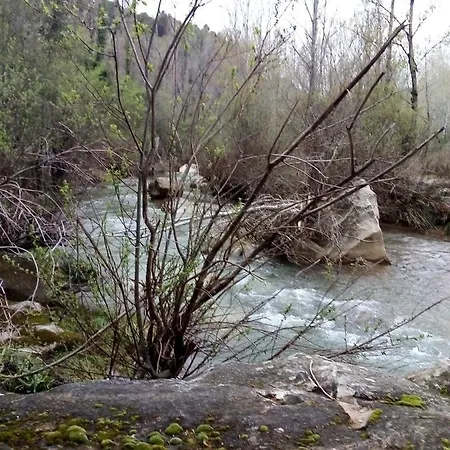 La Manduca Teruel