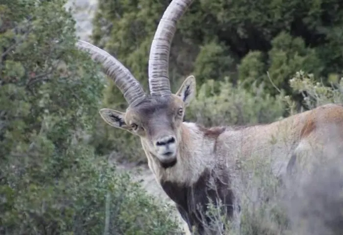 Διαμέρισμα La Manduca Τερουέλ